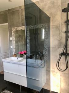 uma casa de banho com um lavatório e um espelho em Agréable suite - Bassin Arcachon em Le Teich