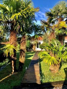 um caminho de madeira entre duas palmeiras com uma casa ao fundo em Agréable suite - Bassin Arcachon em Le Teich