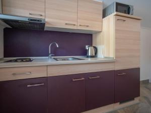 Kuchnia lub aneks kuchenny w obiekcie Holiday Home Veli by Interhome