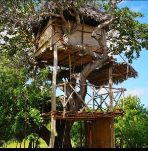 una casa sull'albero con una scimmia seduta in esso di Mida Creek Nature Camp a Watamu