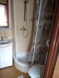 y baño con ducha, aseo y lavamanos. en ANIA, en Kamienna Góra