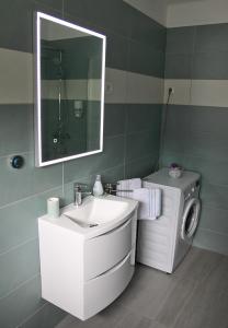 Phòng tắm tại Apartment Baban in Žaga, Slovenia