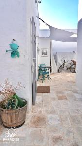 a patio with a plant in a pot next to a door at Paradise Sea Terrace in Monopoli