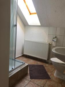 ein Bad mit einer Dusche, einem WC und einem Waschbecken in der Unterkunft Penzion ''Pod Hůreckým vrchem'' in Prášily