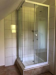 a shower with a glass door in a bathroom at Penzion ''Pod Hůreckým vrchem'' in Prášily