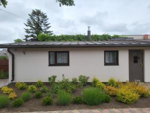 a white house with a plant on the roof at Tac Premier in Ventspils