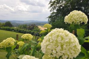 Gallery image of Panorama Garten-Apartment in Marburg in Marburg an der Lahn