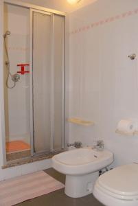 y baño con ducha, aseo y lavamanos. en Agriturismo Plan d'Avie en Aosta
