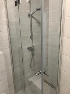 a shower with a glass door with a hose at Gdańska Duo in Wrocław