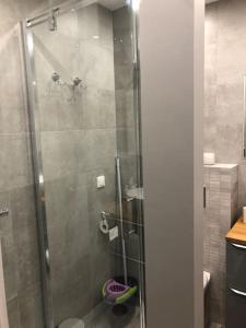 y baño con ducha y puerta de cristal. en Apartament Wejhera Gdańsk Żabianka blisko morza, en Gdansk