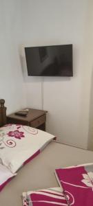 Televízia a/alebo spoločenská miestnosť v ubytovaní Apartments Anđa near Queen Beach