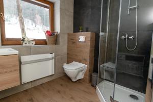 a bathroom with a toilet and a shower at Domek OlimpijSki SZCZYRK in Szczyrk