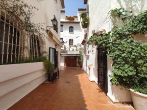 un callejón vacío con un edificio y plantas en CENTER & WHITE TOWN Apartament, en Torremolinos