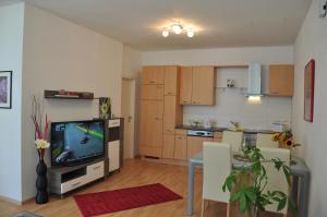a living room with a television and a kitchen at Appartement Romantikstadt Steyr in Steyr