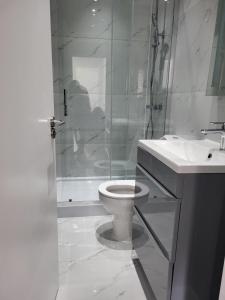 uma casa de banho com um WC, um chuveiro e um lavatório. em 1 Bed Flat, Fibre Broadband, New, Washer Dryer, 10 mins from city centre em Dartford