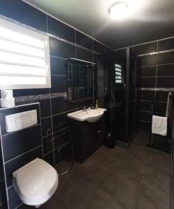 een badkamer met een wit toilet en een wastafel bij La Caz'Anna 2 in Cilaos