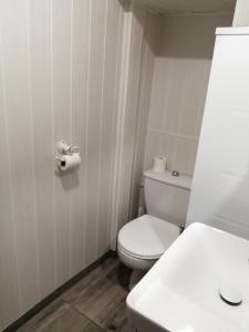a white bathroom with a toilet and a sink at 2 appartements au choix centre ville de Souillac entre Sarlat et Rocamadour in Souillac