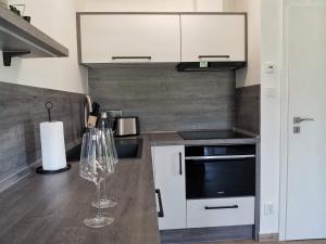Kuchyň nebo kuchyňský kout v ubytování Apartmány Černý vlk, Borová Lada