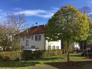 a white house with a tree in front of it at Altes Schulhaus Mutschelbach in Karlsbad