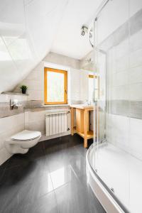a bathroom with a shower and a toilet and a sink at Pokoje Gościnne Pod Łosiówkami in Poronin