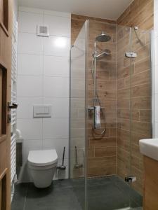 Koupelna v ubytování Apartmány Černý vlk, Borová Lada