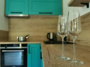 Kuchyň nebo kuchyňský kout v ubytování Apartmány Černý vlk, Borová Lada