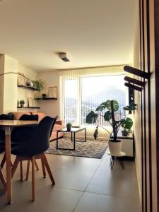 a living room with a table and a plant at Austral 503 in Ushuaia