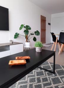 uma mesa de café preta numa sala de estar com plantas em Austral 503 em Ushuaia