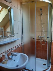 a bathroom with a shower and a sink at Ágnes Vendégház in Tokaj