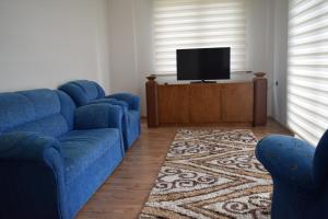 Sala de estar con 2 sofás azules y TV en MARS OTEL en Artvin