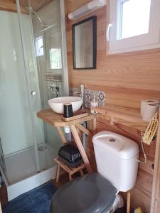 a bathroom with a toilet and a sink at LA SAPINEDE in Saint-Vincent-de-Paul