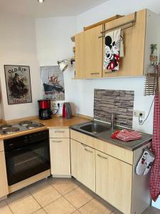 eine kleine Küche mit einer Spüle und einem Herd in der Unterkunft romantische Ferienwohnung Sachsenhof 4 in Klingberg
