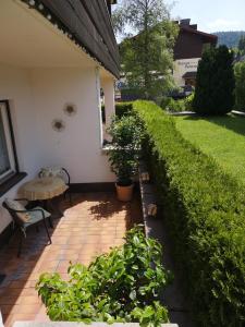 Vrt pred nastanitvijo Apartments Olympiastraße