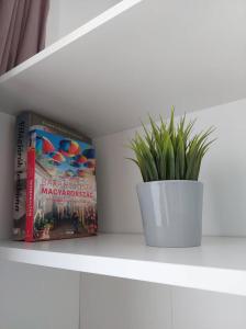 a book and a potted plant on a shelf at B30 Apartman in Budapest