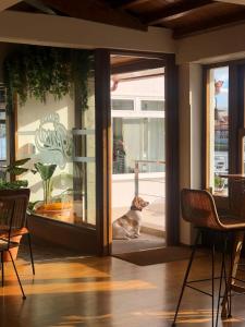 a dog sitting in front of a glass door at Alda Corcubión in Corcubión