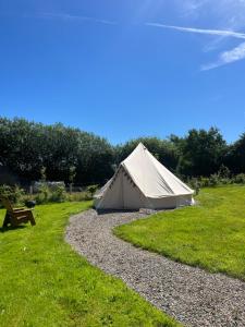 a tent and a bench in a grass field at Oakwell holiday village in Ramelton