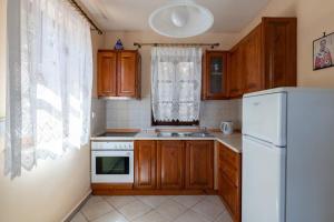 Kuchyň nebo kuchyňský kout v ubytování Villa Leleka