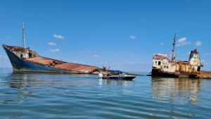 Gallery image of Pensiunea Izora in Crisan +26 photos