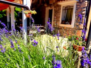 Zahrada ubytování Apartman Pelcic,with WiFi and free parking