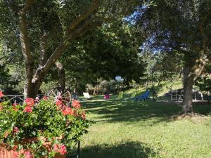 a park with trees and flowers in the grass at Santa Croce in Fossato di Vico