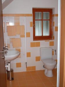 a bathroom with a toilet and a sink at Penzion Medvídek in Josefuv dul