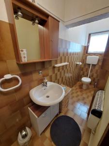 A bathroom at Apartman Thea Gomirje