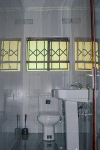 a bathroom with a toilet and a sink and two windows at Carsi holiday Villa in Lusaka