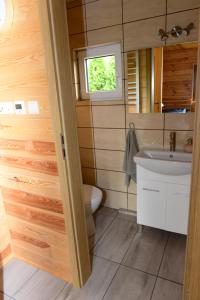 a small bathroom with a toilet and a sink at Kruszyniany 41 in Kruszyniany +24 photos