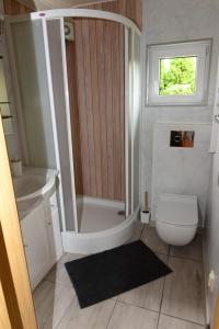 a bathroom with a shower and a toilet and a sink at Kruszyniany 41 in Kruszyniany