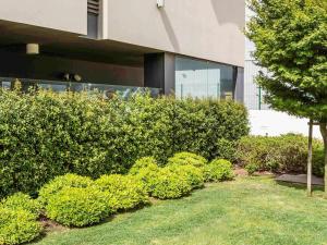 a row of bushes in front of a building at Hotel Ibis Lisboa Sintra in Sintra