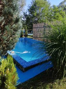 una piscina nel mezzo di un giardino di Vikendica Pavle a Vrhpolje