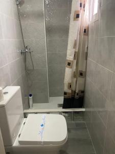 La salle de bains est pourvue d'une douche et de toilettes. dans l'établissement Pensión LF No Fumadores - Sin Ascensor, à Saragosse