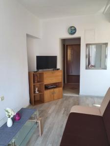 Televízia a/alebo spoločenská miestnosť v ubytovaní Apartman Dušanka Jović
