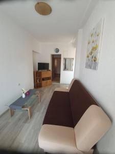Televízia a/alebo spoločenská miestnosť v ubytovaní Apartman Dušanka Jović